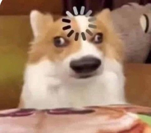 oghostcatto's tweet photo. Eu lembrando que tenho twitter https://t.co/mm9JB8HDRb