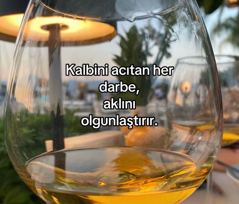 alyareckles's tweet photo. https://t.co/qERVPtma4l