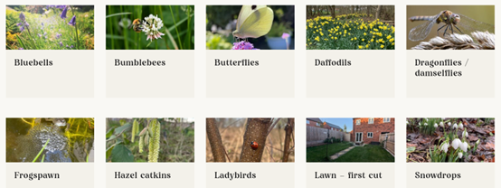 Nettlecombe Court tweet media