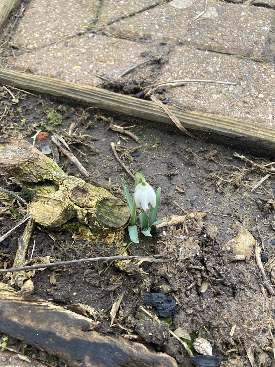 Play Learning Life CIC tweet media