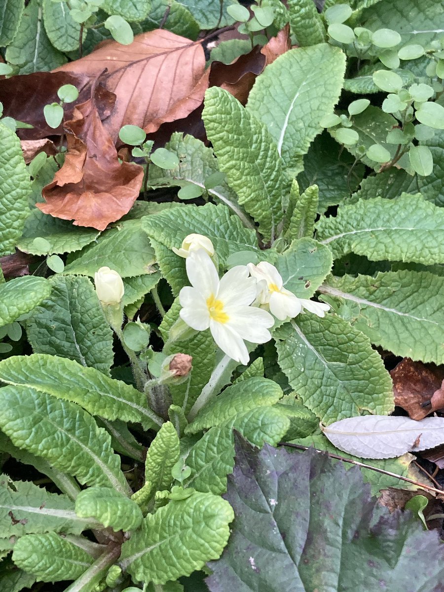 Play Learning Life CIC tweet media