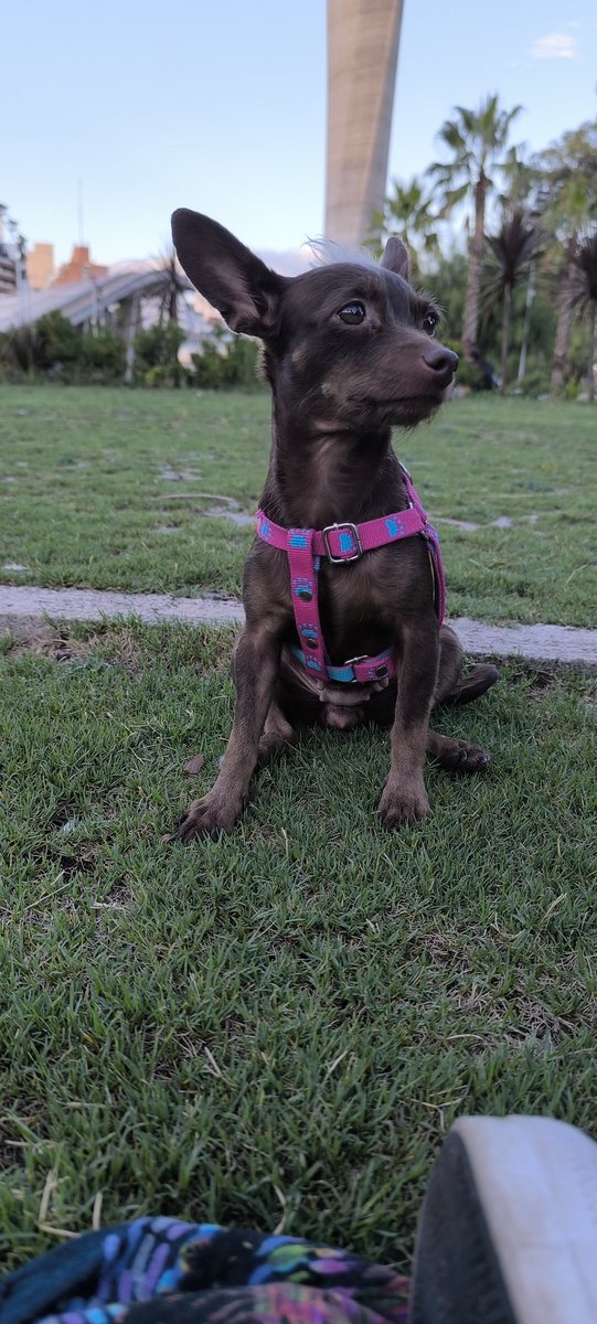 LuuChocan's tweet photo. Te amo mi bebé hermosa ❤️😍 https://t.co/WqCbFvdyBp