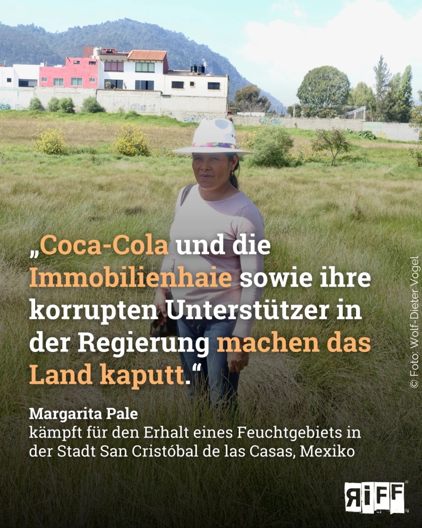 Während #CocaCola täglich 1,3 Mio. Liter #Wasser entnimmt, geht den Familien in San Cristóbal, #Mexiko das #Trinkwasser aus. Doch Aktivistïnnen wie Margarita Pale kämpfen für den Schutz der #Feuchtgebiete – und für ihre #Menschenrechte: <a href="/wd_vogel/">Wolf-Dieter Vogel</a> riffreporter.de/de/umwelt/mexi…