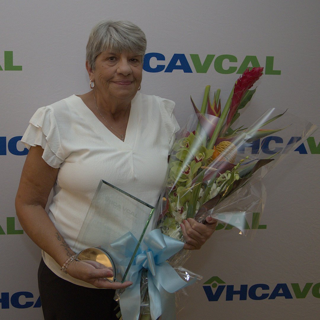 VHCA-VCAL tweet media