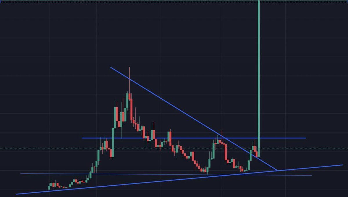 Real World Asset Watchlist tweet media