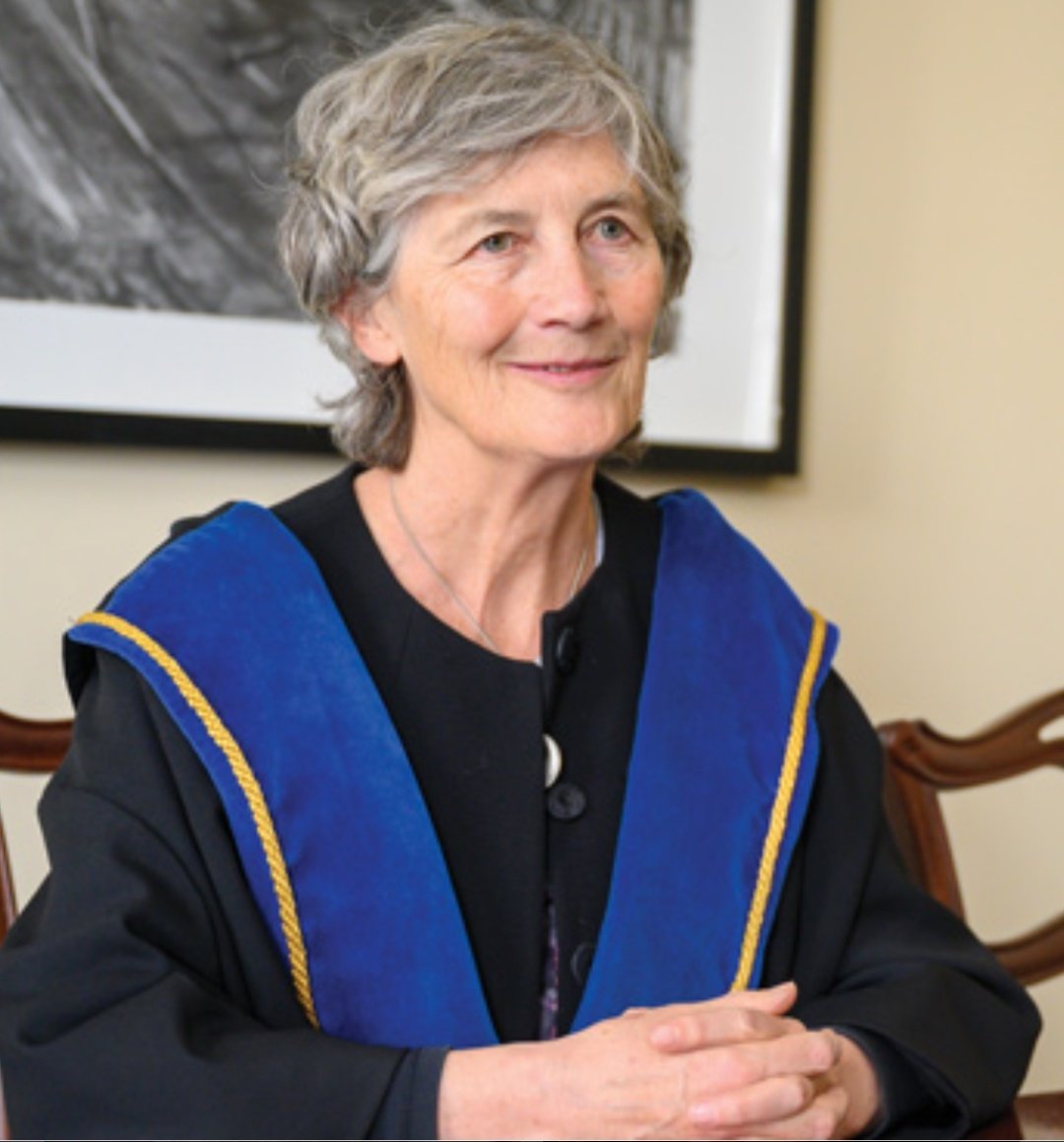 The Ceann Comhairle we should have.
<a href="/catherinegalway/">Catherine Connolly</a>