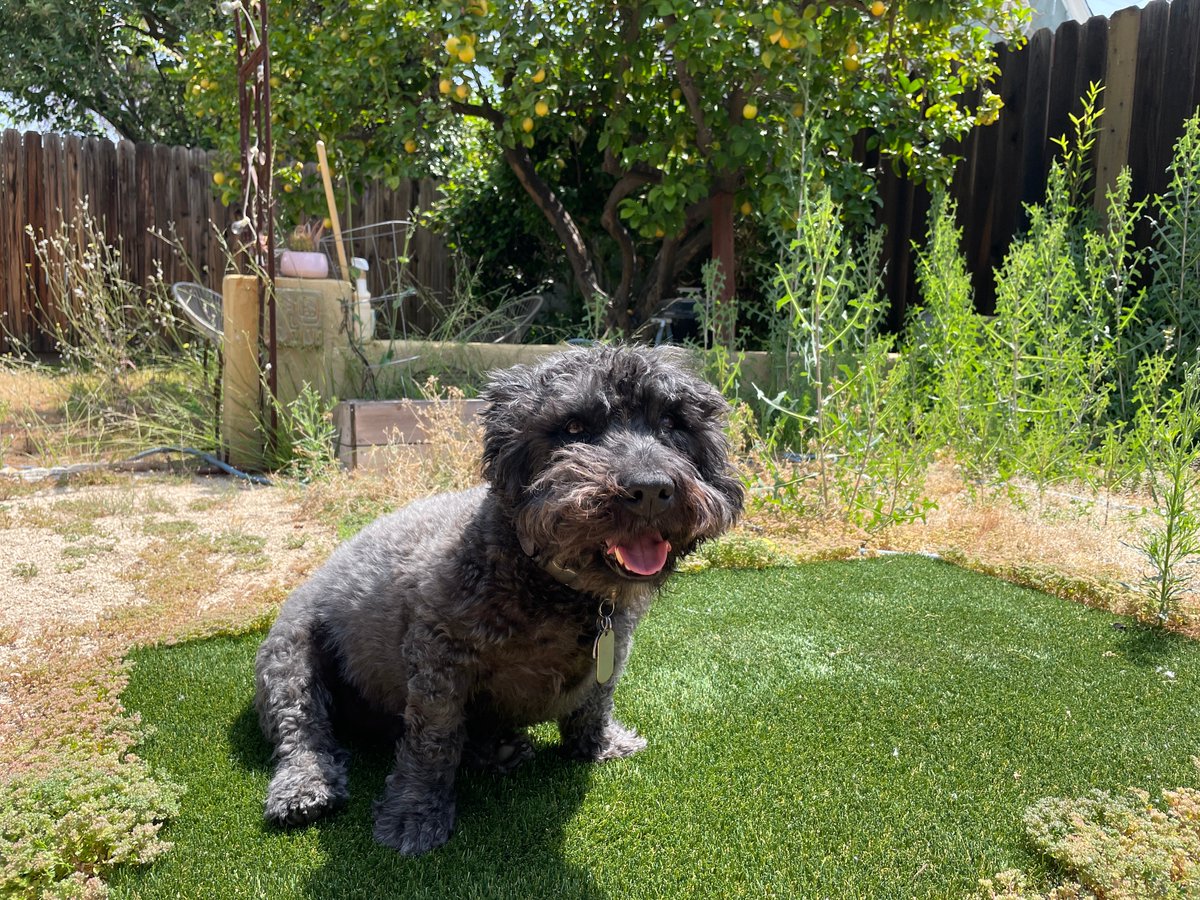 Jordan Harper 🏴 tweet media