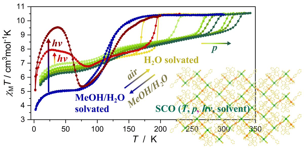Multifunctional Luminescent Materials Group (MLMG) (@multilumimater) on Twitter photo In Journal of Materials Chemistry C (<a href="/JMaterChem/">J. Mater. Chem. family</a>), we report a novel spin-crossover framework exhibiting chemically driven magnetic responsivity to temperature, light, and pressure. To read more about this richly responsive SCO material, follow the link: pubs.rsc.org/en/content/art… In Journal of Materials Chemistry C (<a href="/JMaterChem/">J. Mater. Chem. family</a>), we report a novel spin-crossover framework exhibiting chemically driven magnetic responsivity to temperature, light, and pressure. To read more about this richly responsive SCO material, follow the link: pubs.rsc.org/en/content/art…