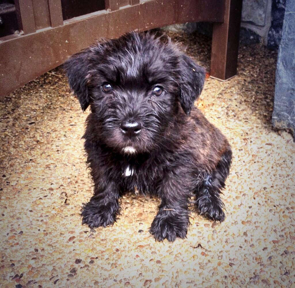 Jordan Harper 🏴 tweet media