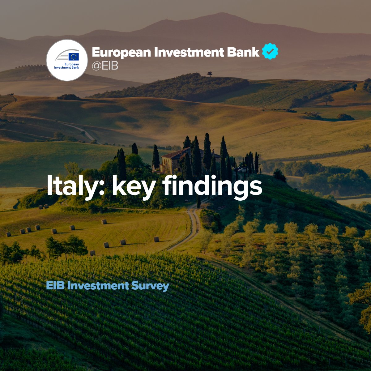 🇮🇹 Italian businesses show resilience and a positive outlook.

They acknowledge both challenges and opportunities of the dual transition, and invest more in climate action and innovation.  

Read more⤵️

bit.ly/Italy_Survey20…

#EIBIS2024