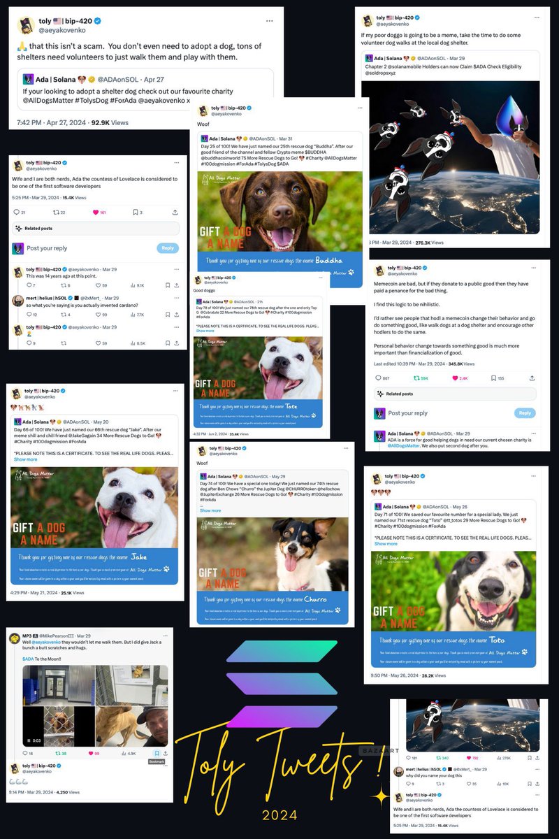 0xmaroon's tweet photo. 未证实的狗名和ca狂冲
另外一边solana创始人明确ca官推的狗还在600k

你觉得这对吗

（另 $brett 的leader也推过

#adasol
E4Q5pLaEiejwEQHcM9GeYSQfMyGy8DJ4bPWgeYthn24v

@ADAonSOL https://t.co/Dy3UidwoeL