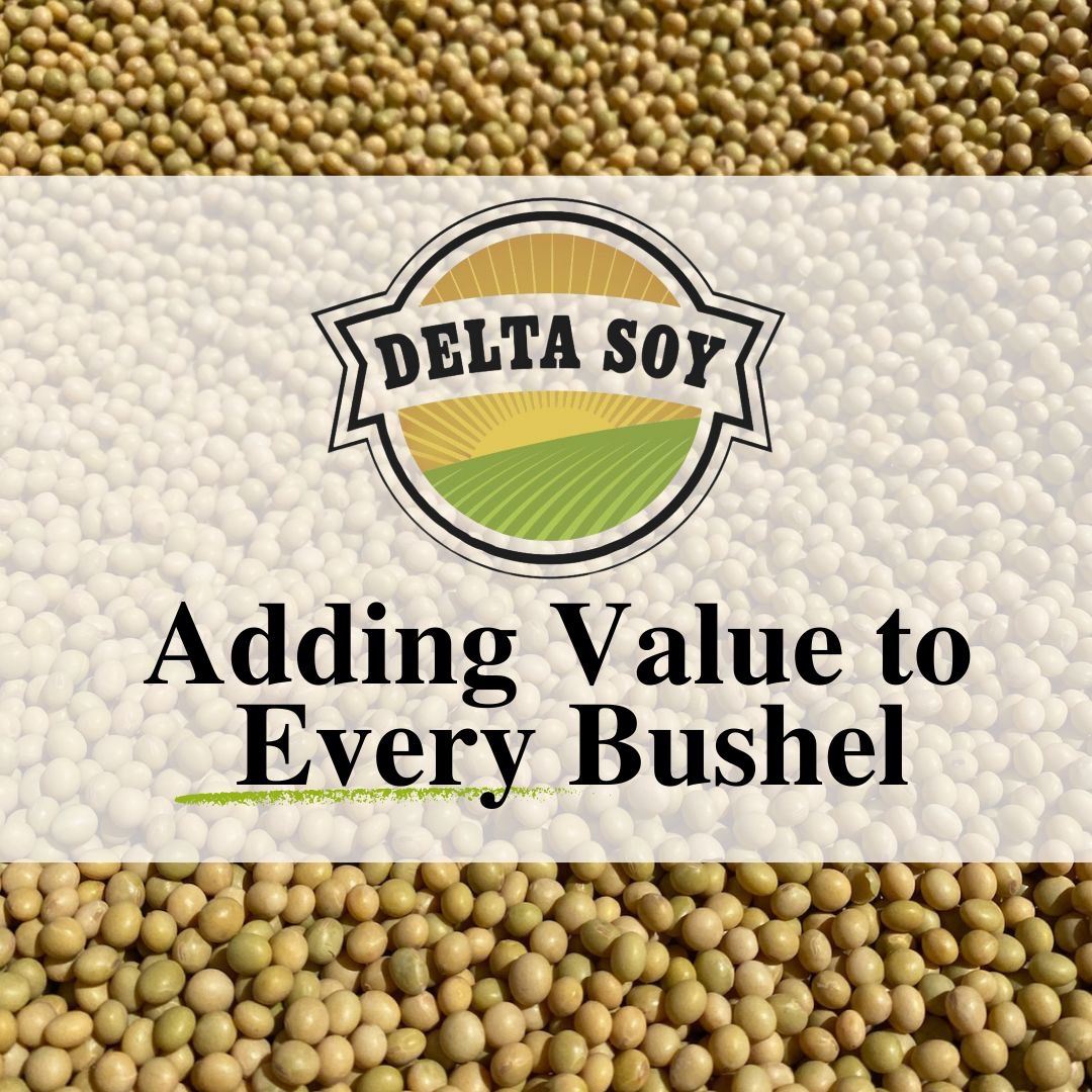 DeltaSoy's tweet image. Delta Soy’s natto premium ensures you earn more for every bushel produced. Even in tough markets, we help you add value to your farm. 🌱

#DeltaSoy #NattoPremium