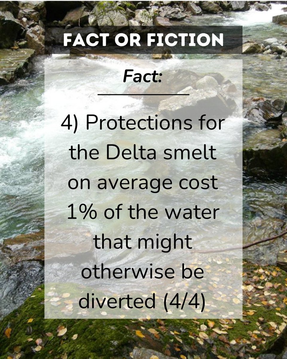 Friends of the River tweet media