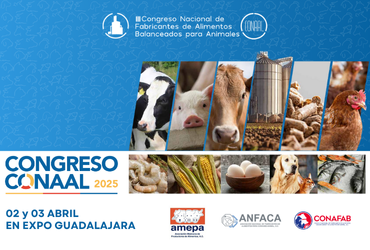 Conoce más sobre nuestra III edición del Congreso Nacional de Fabricantes de Alimentos para Consumo Animal 
youtube.com/watch?v=Ahv_ea…