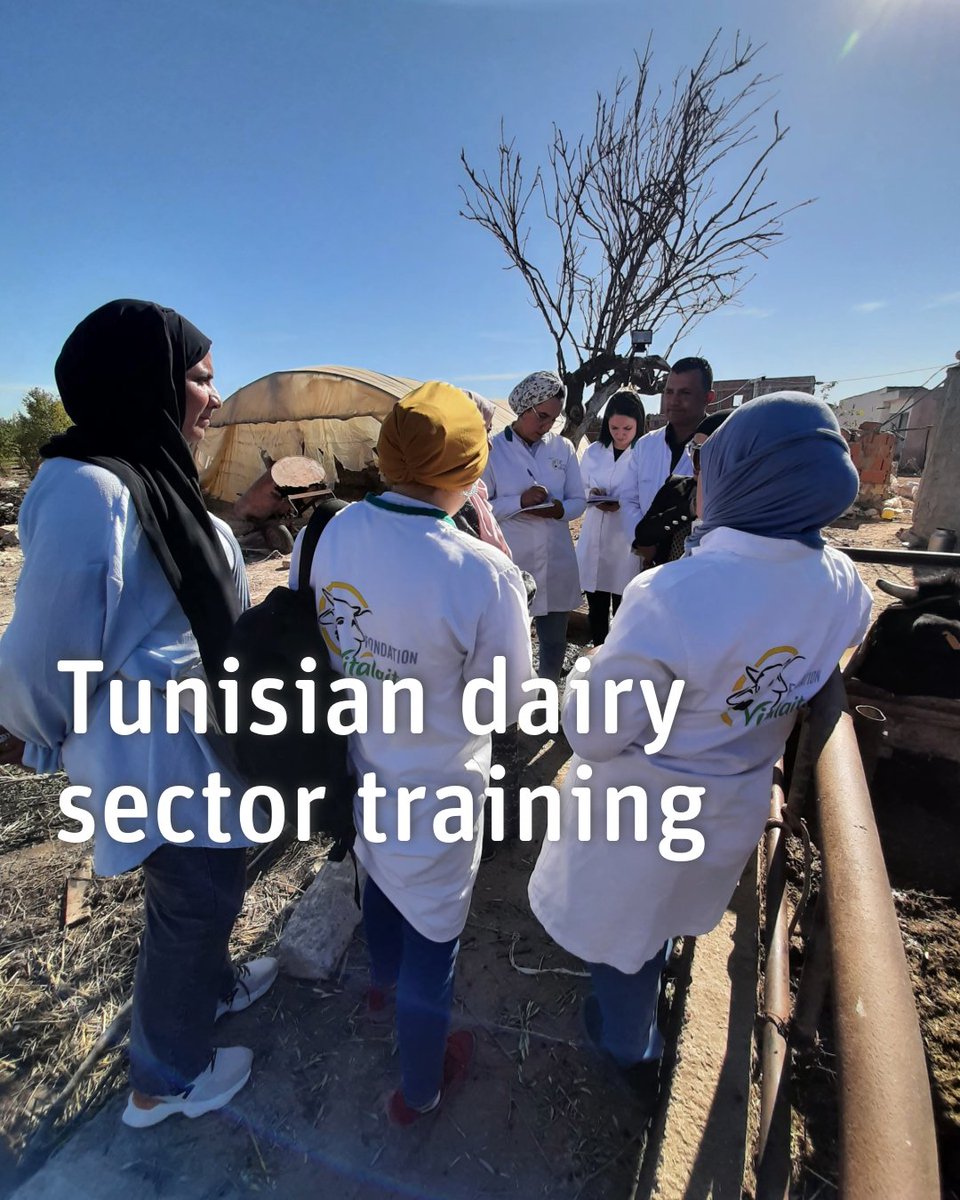 Huge success for #BFHHAFL, <a href="/vitalaits/">vitalait</a> and <a href="/SwissDevCoop/">Swiss Development and Cooperation</a> project: 420 people from Mahdia basin attended onsite field school training to co-develop sustainable dairy practices. 40% of participants and all the trainers and project team were women. Full story:
bfh.ch/en/news/news/2…