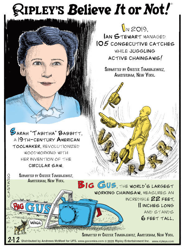 Big Gus, the world's largest working chainsaw, measures an incredible 22 feet, 11 inches long and stands 6 feet tall. 🪚

Catch our daily cartoon here👇 bit.ly/3DkmZST