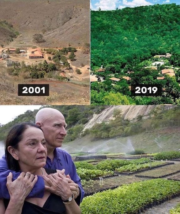 MatiasSchrank's tweet photo. 3. En 1994, el fotoperiodista Sebastiao Salgado abandonó los horrores de Ruanda y regresó a su hogar en Minas Gerais, Brasil, en busca de paz en los exuberantes bosques verdes de su infancia.

En cambio, descubrió que su casa se había convertido en una tierra estéril, desprovista de vida silvestre: "La tierra estaba tan enferma como yo. Solo alrededor del 0,5% estaba cubierta de árboles".

Fue entonces cuando su esposa, Lélia Deluiz Wanick Salgado, sugirió que replantaran todo el bosque. Sebastião estuvo de acuerdo y juntos pasaron los siguientes 20 años plantando 2,7 millones de árboles.

Esto dio como resultado la recuperación de 1.500 acres de selva tropical, y el sitio eventualmente se convirtió en el hogar de 293 especies de plantas, 172 especies de aves y 33 especies de animales, algunas de las cuales estaban al borde de la extinción.
