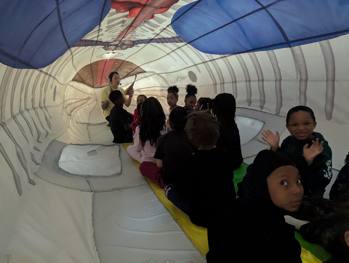 drsumaracase's tweet image. A whale of a time at School 16 today! High instructional expectations and teacher clarity will get you everywhere! @drchrismiller2 @KRVliteracy