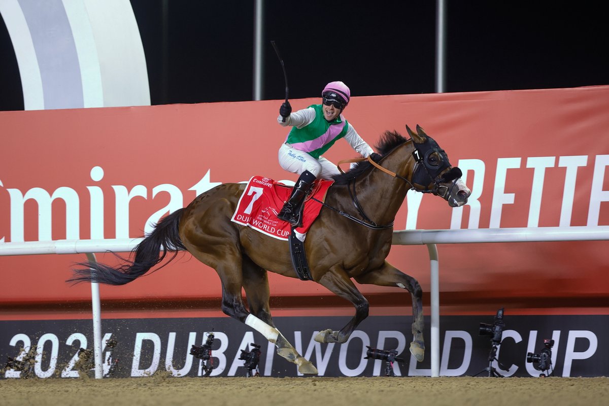 🇸🇦#サウジカップ 出走予定馬】 ※2/13時点 オッズはブックメーカー『William Hill』より 2.5🇯🇵フォーエバーヤング  4.0🇭🇰ロマンチックウォリアー 11.0🇺🇸ラトルンロール 13.0🇫🇷ファクトゥールシュヴァル 13.0🇯🇵ウシュバテソーロ  17.0🇦🇪ウォークオブスターズ ...