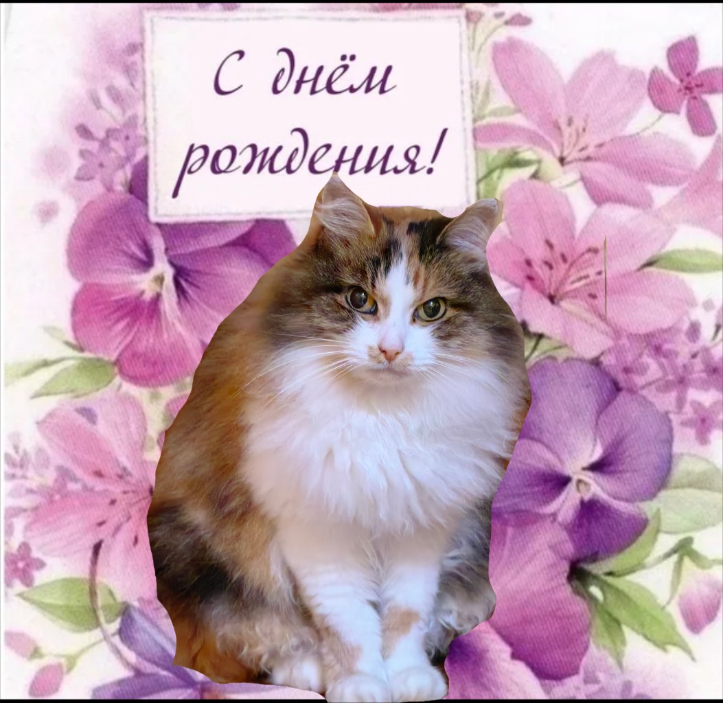 <a href="/Podruga__Druga/">Xenia Sergeevna</a>