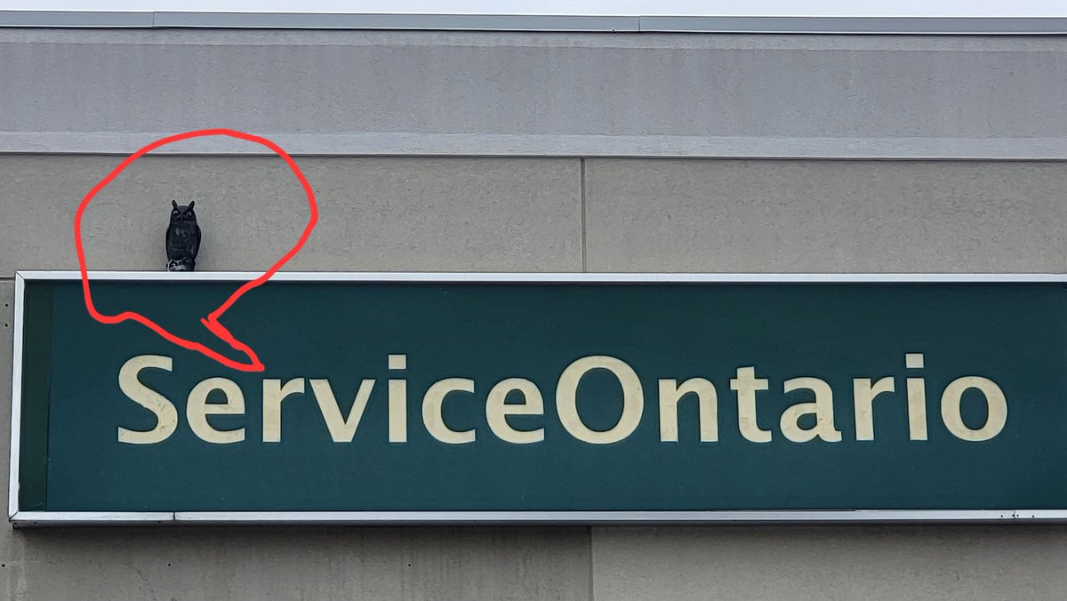 We've got eyes on you!