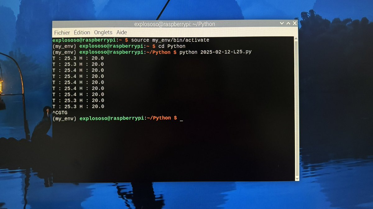 Solène • dev tweet media