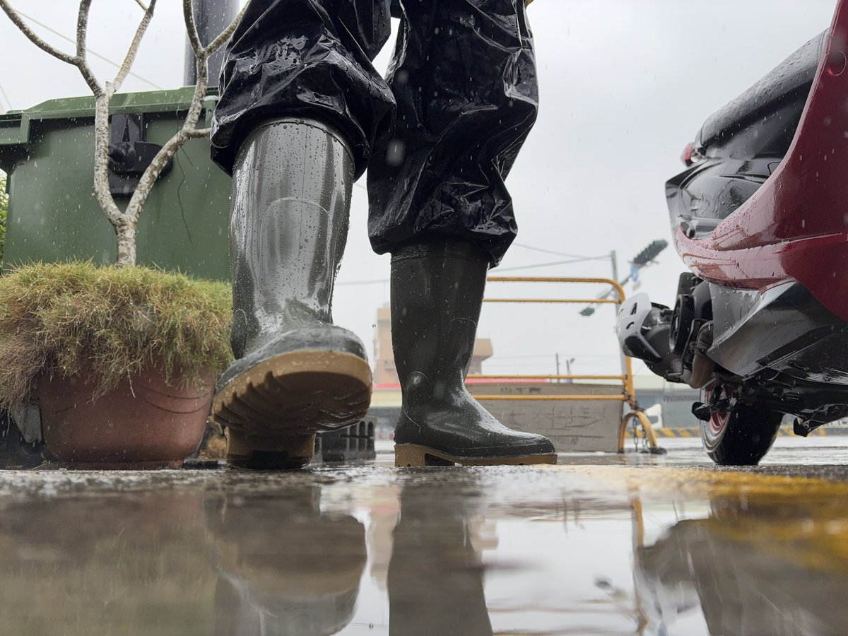 Sins_dog tweet media