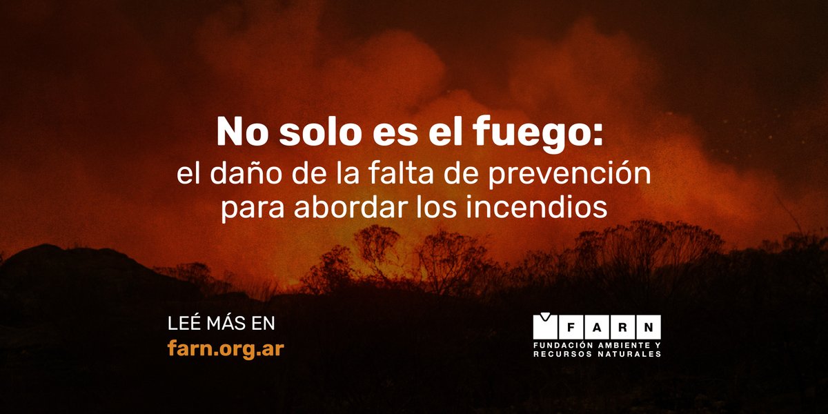 🔥🇦🇷 No solo es el fuego: la falta de prevención agrava la crisis de incendios en Argentina. En 2024, el Gobierno solo ejecutó el 22% del presupuesto del Servicio Nacional de Manejo del Fuego. ¿Qué significa esto y por qué importa?