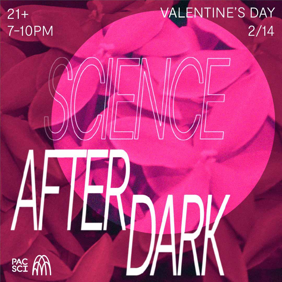 At the <a href="/PacSci/">Pacific Science Center</a> this Friday for their Science After Dark Event! I’ll be your sound selects from 7-10pm 🥳

Grab tix here: pacificsciencecenter.org/events/science…