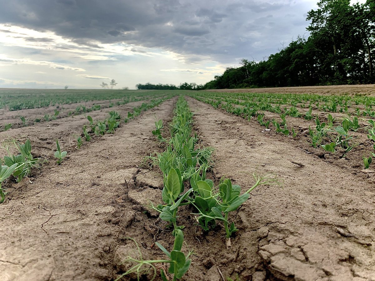 A day late and a dollar short for #CdnAgDay.  We are so fortunate to be a small part of this great industry.
