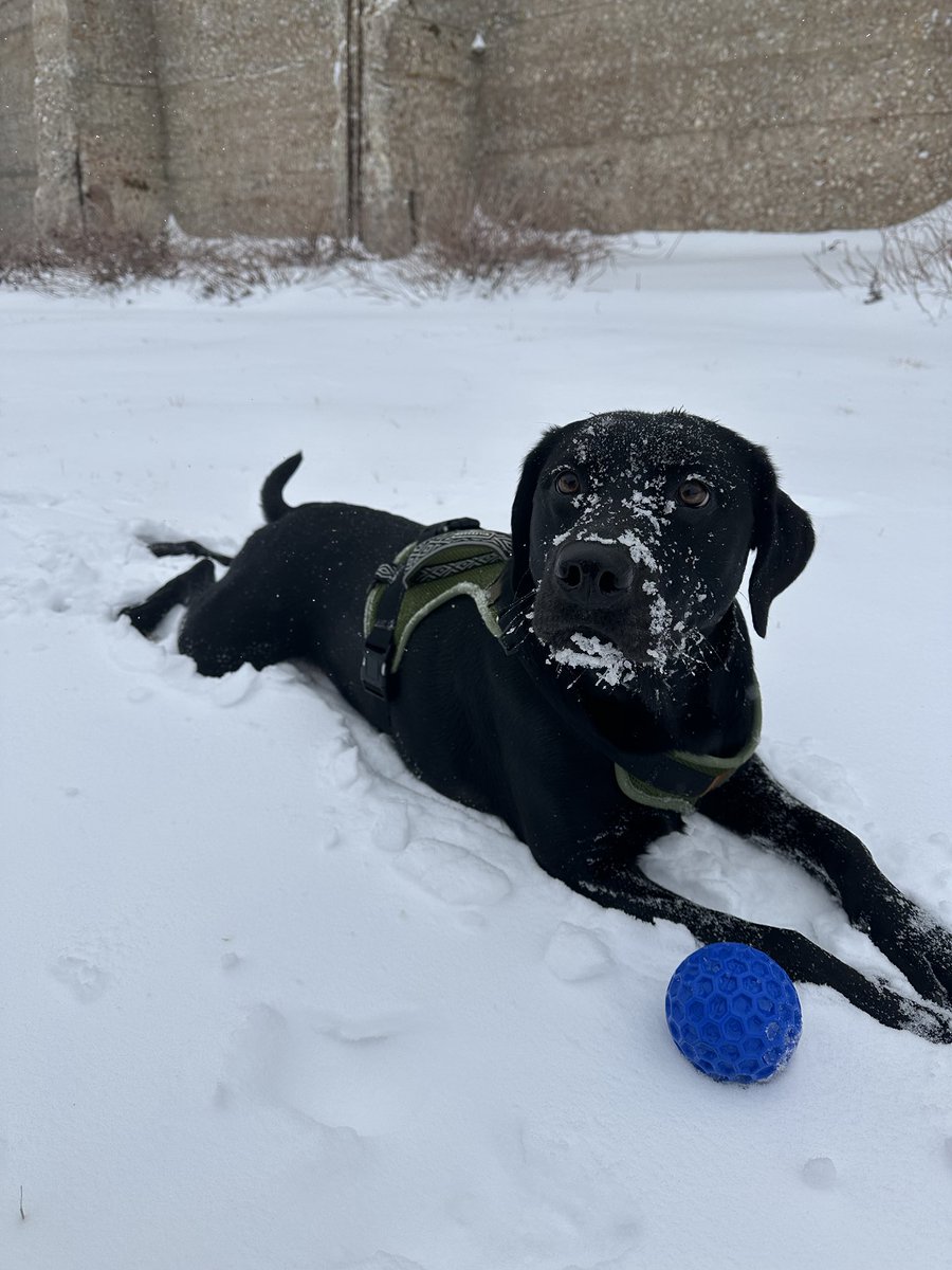Snow day!!!