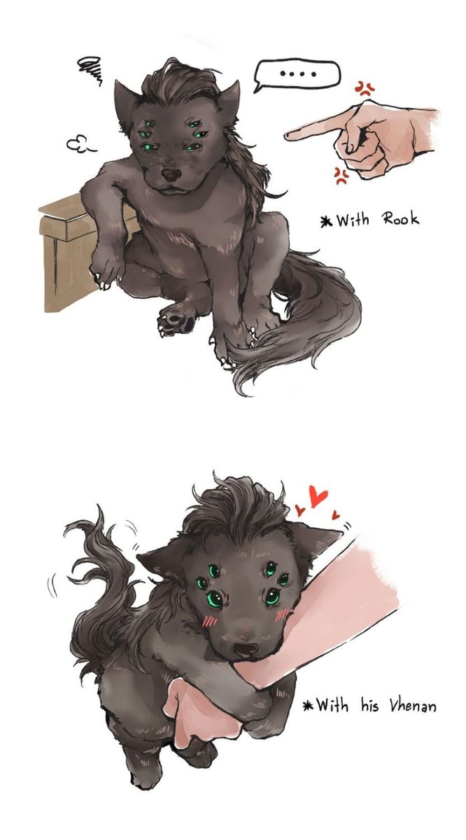 Yokibear🧸 tweet media