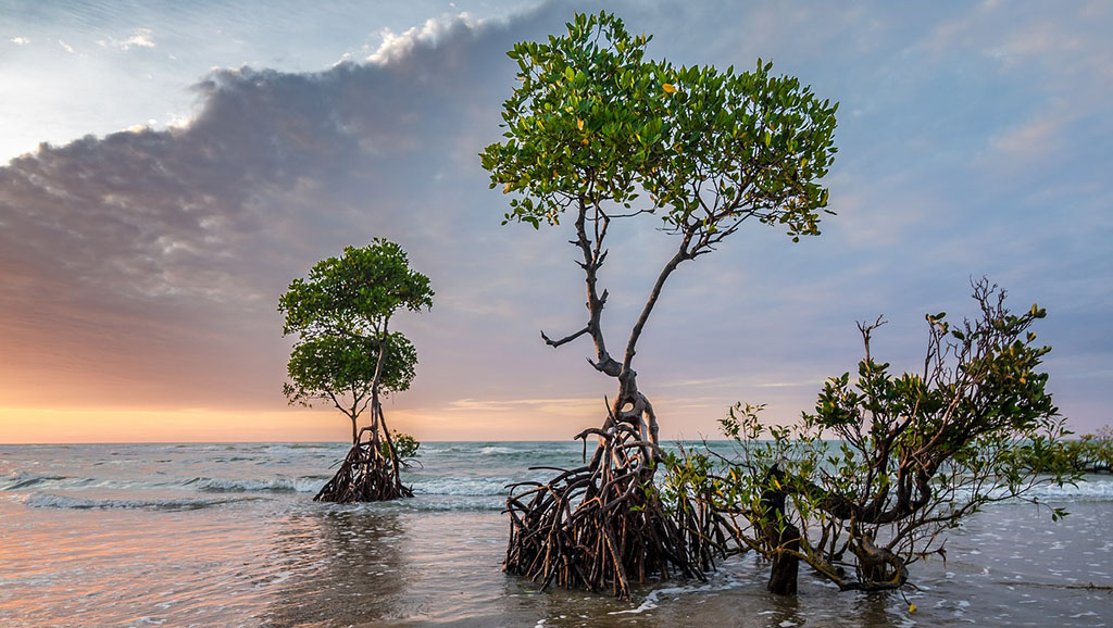 GDARnetwork's tweet image. The @LancetCountdown's Inaugural Report on Health and Climate Change for Small Island States has been published. Led by @GDARnetwork's Dr Georgiana Gordon-Strachan, Director of the Tropical Metabolism Research Unit @CAIHRJA, University of the West Indies
bit.ly/4hzNzGD