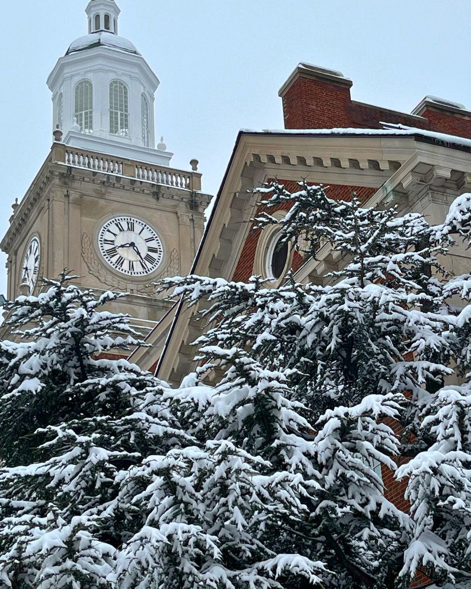 Howard, the winter wonderland ❄️
