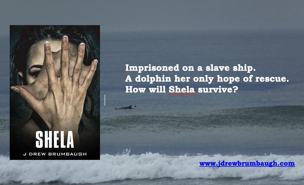 jimdrew547's tweet photo. A page-turning near-future #scifi adventure. The exciting sequel to Shepherds that #readers asked for. Targeted by sex traffickers what will her friends be willing to sacrifice to save Shela? #Bookpraiser #iartg #bookaholic #BooksWorthReading
https://t.co/hHYum81Szq https://t.co/Zvfrt1FCoX