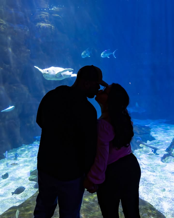 VAAquarium's tweet photo. There's just a few tickets left for ValenTide's! Already have tickets? Buy an underwater sign with a custom message for your valentine to display at the event! https://t.co/dmpzqqtxwC

Photo 1: Silhouette of couple kissing in front of exhibit.
Photo 2: Underwater sign with heart. https://t.co/BwgWKUCnCe