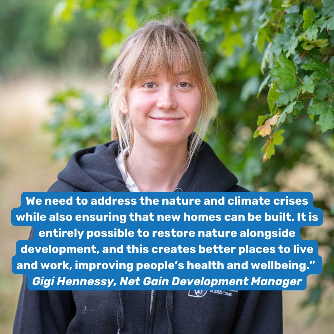 NetGainStaffs's tweet photo. 1/2 Since #BiodiversityNetGain was introduced 1 year ago,  @StaffsWildlife has been working  to ensure BNG results in the best outcomes for nature across Staffs.

▶️Launched https://t.co/UzIXb5IT3v
▶️Awarded Responsible Body Status
▶️Developing new habitat banks

Read more 👇 https://t.co/iGuDwo7YtD