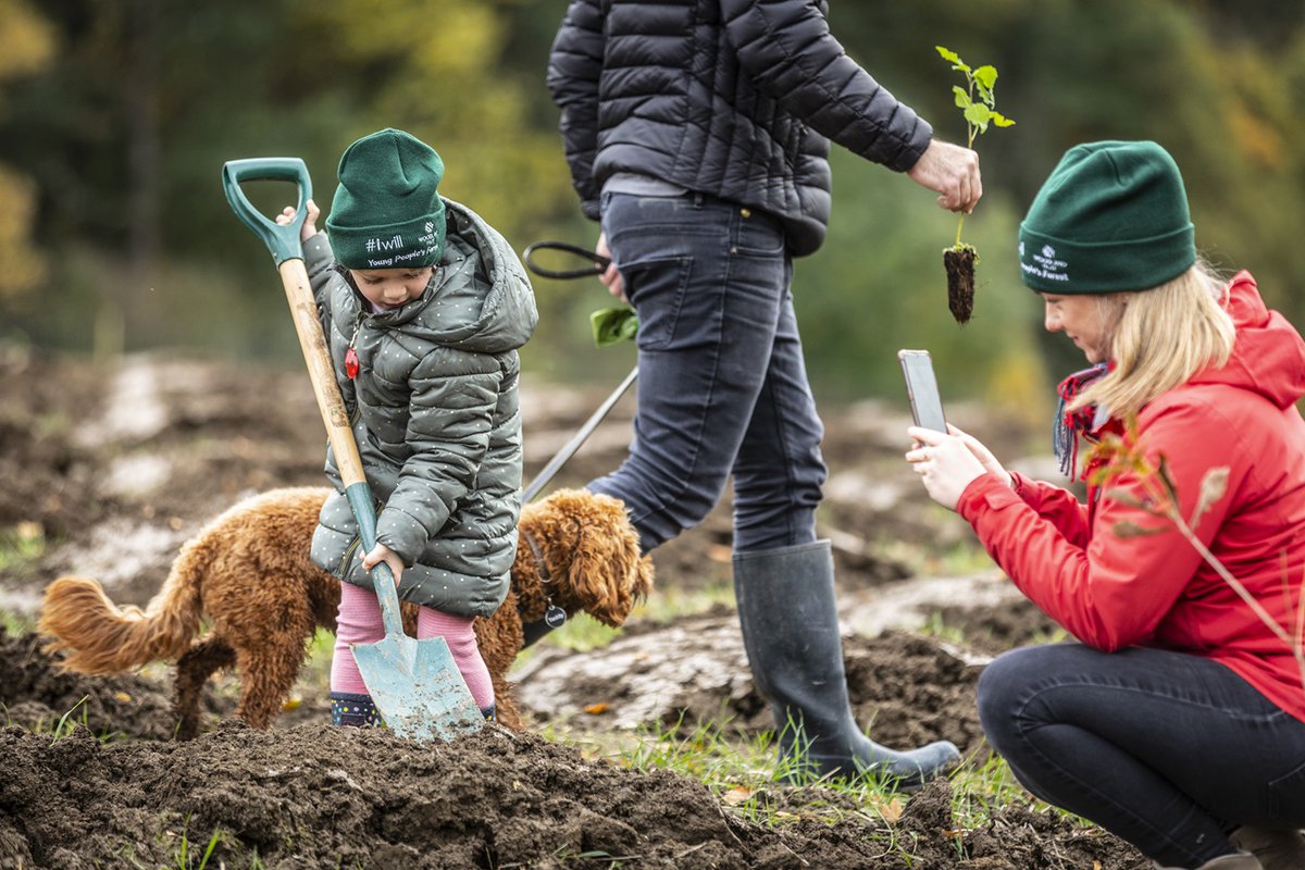 We’re partnering with the @WoodlandTrust to urge our customers to go paperless and create healthier natural environments for communities. As part of the partnership, we’re donating £250,000 to fund its Free School and Community Tree Packs. 

simplyhealth.co.uk/news-and-artic…