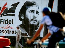 ✨Amalia Rodríguez ✨🌹 tweet media