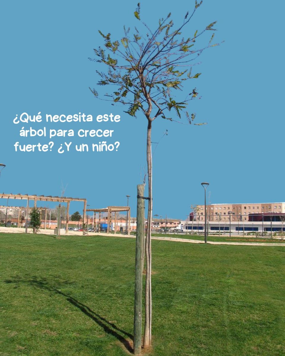 🌱 Todos educamos 🌱

Este arbolito crece gracias a muchos factores: el sol, la lluvia, el tiempo… pero también necesita apoyo. Ese palo que lo sostiene representa a la sociedad, los padres, los maestros, los abuelos, los hermanos… Cada uno deja su huella en su crecimiento.