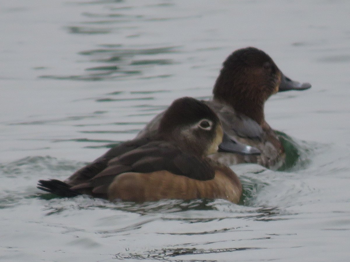 Mark Spedding 🇺🇦 (@speddingmark) on Twitter photo 