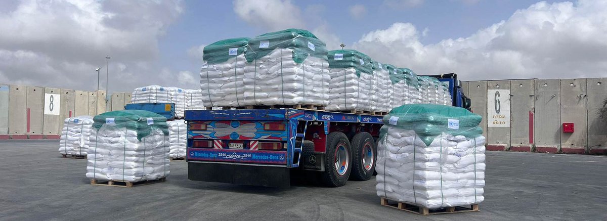 ijhpr.biomedcentral.com/articles/10.11…  After rigorous, extensive peer-review our study has now been published. The findings show that 478,229 metric tons of food were supplied to Gaza over the seven-month study period. The per capita daily nutritional supply averaged: