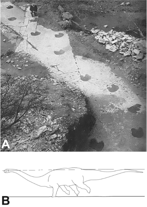 Cary Woodruff tweet media