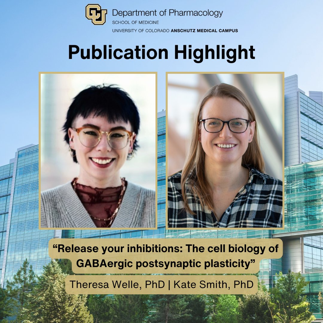 Today, we highlight an exciting publication from <a href="/KSmithLab/">Kate Smith Lab</a>: Release Your Inhibitions: The Cell Biology of GABAergic Postsynaptic Plasticity by Theresa M. Welle, PhD, and Kathe Smith, PhD.  This publication provides insights into how inhibitory synapses adapt and regulate brain