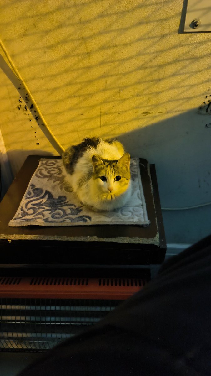 Hanfendiyle 1 saattir bakışıyoruz