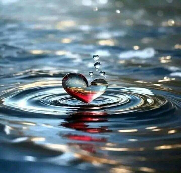 أينما حلَّ الحبيب، حلَّ الوطن، المحبَّة تلغي وحشة الروح وحتّى الأماكن:

«فكلُّ بلادٍ قرّبت منكَ منزلي
وكلُّ مكانٍ أنتَ فيهِ مكاني»