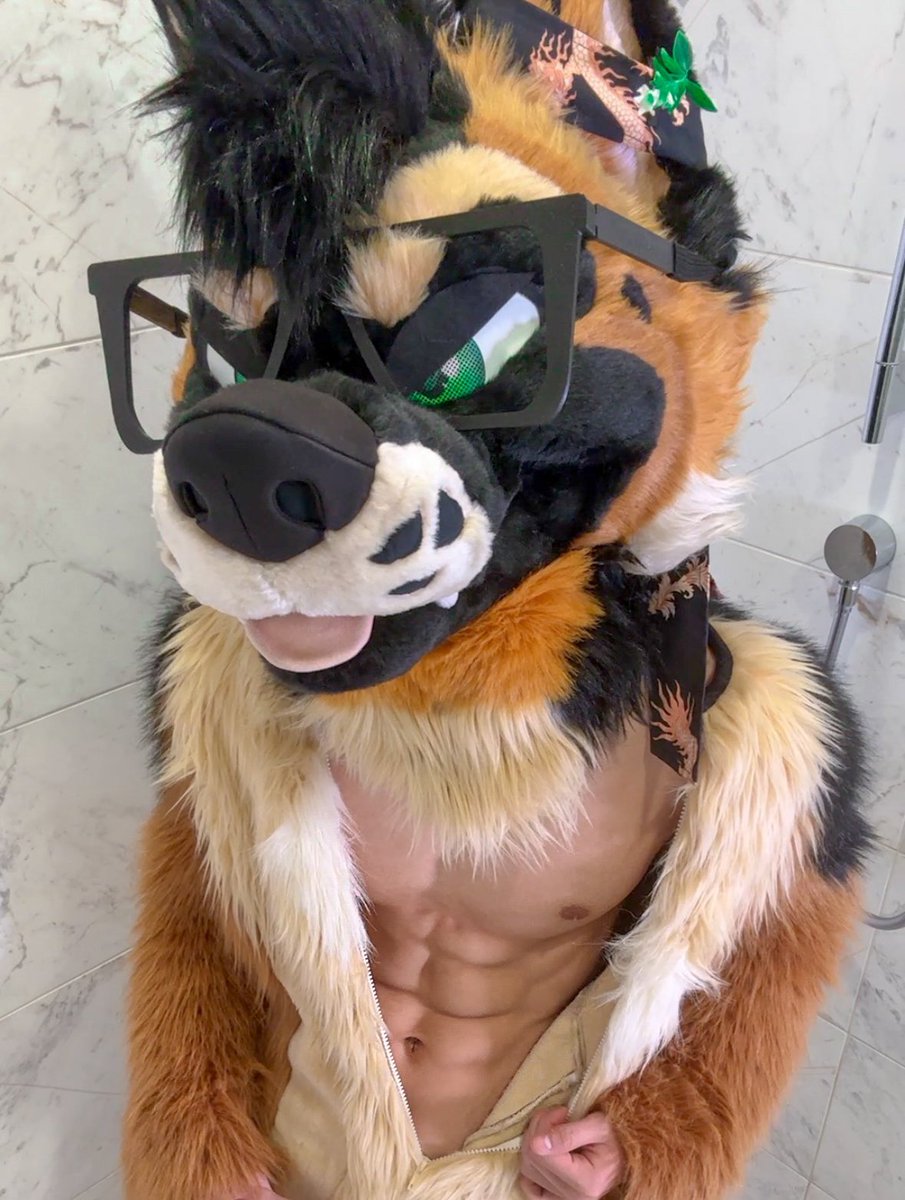 Think you could take on this shep?😈