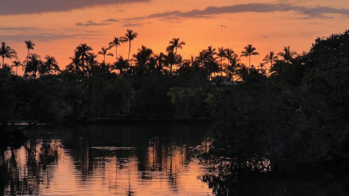 Well, I’ve waited until after the election to peek at Twitter again and the verdict remains the same. I think most real Americans are mortified at what is happening. I will continue to look for beauty, peace, happiness and equality.