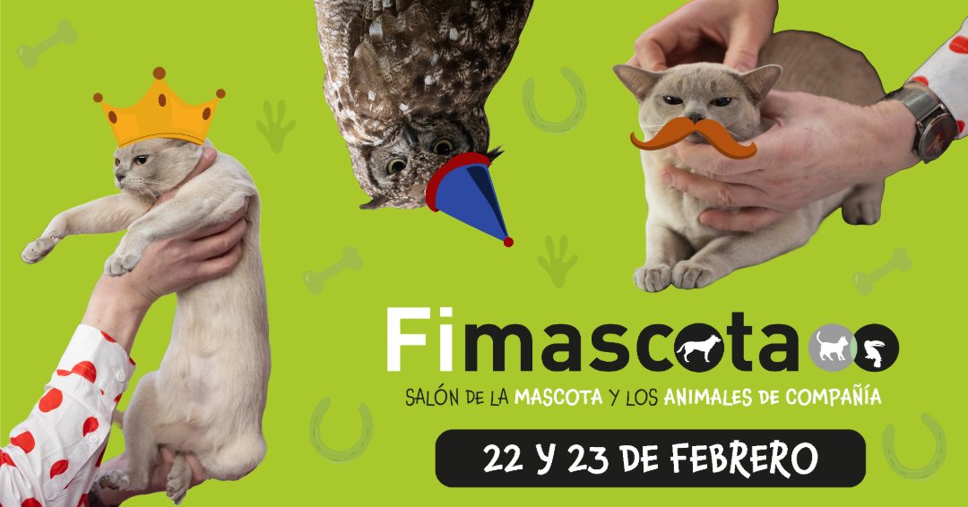¡Ya está disponible el programa de Fimascota! 🐶🐱

➡️ ¡Con actividades para todos los públicos! 🐴

ℹ️ Consulta aquí toda la información: ow.ly/r0KT50UYKTB

ℹ️ ¡Consigue tus entradas anticipadas a precio reducido!: ow.ly/4Mnz50UYKTC

¡Os esperamos 🐦!