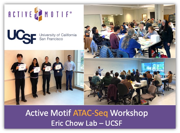 activemotif's tweet photo. A terrific day @UCSF  this week, delivering our hands-on workshop for ATAC-Seq. Dr. Eric Chow &amp; lab hosted our team Nivanka Paranavitana &amp; Rwik Sen.
Learn about the research being done in the lab - https://t.co/Vw6csTqBrk

#Epigenetics #Genomics #UCSF https://t.co/4LETglNYzD